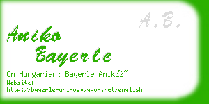 aniko bayerle business card